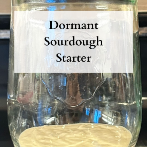 Dormant Sourdough Starter
