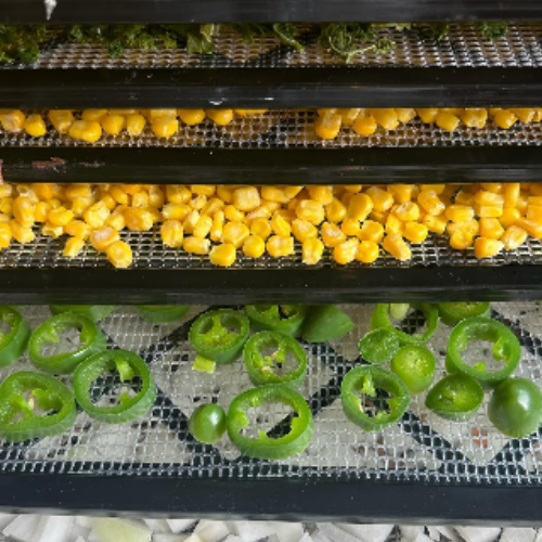 Dehydrating corn and jalapeños